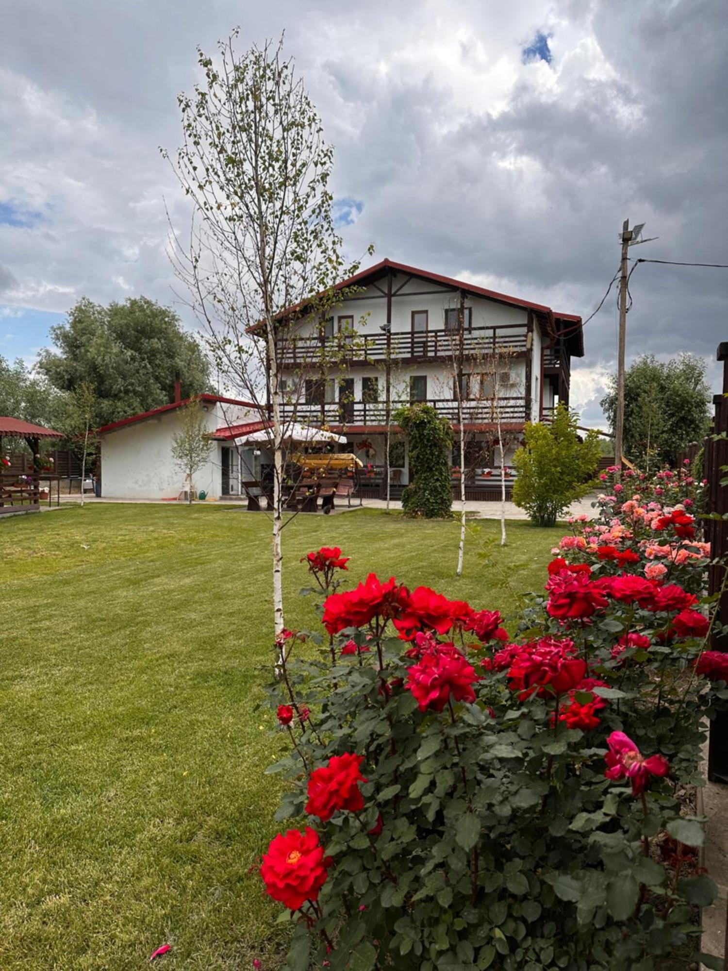 Casa Carp Calarasi Hotel Exterior foto