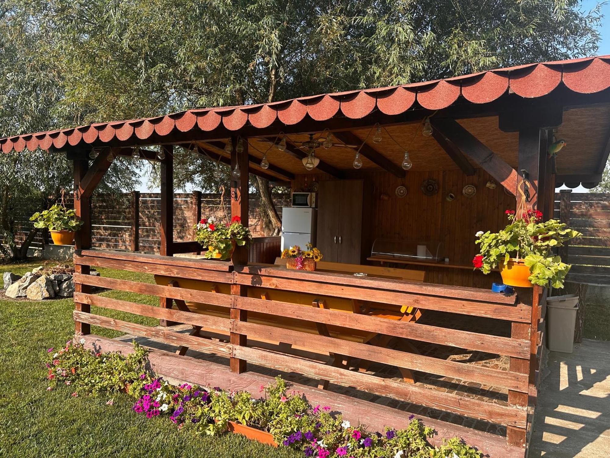 Casa Carp Calarasi Hotel Exterior foto